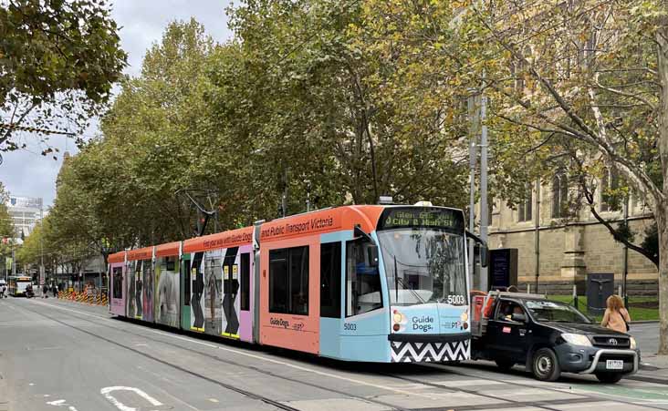 Yarra Trams Combino 5003 Guide Dogs